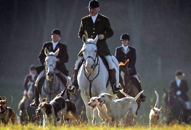 Látky pro lesnické a lovecké uniformy